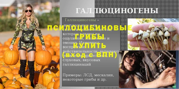 мяу мяу мука Осташков