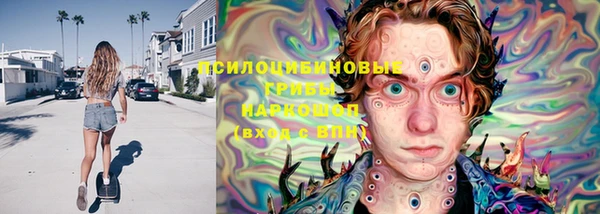 соль ск Алексеевка