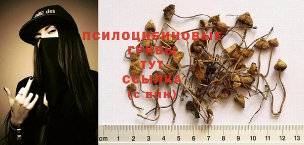 мяу мяу мука Михайловка