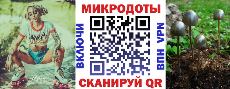 наркошоп  Покров  Псилоцибиновые грибы MAGIC MUSHROOMS 