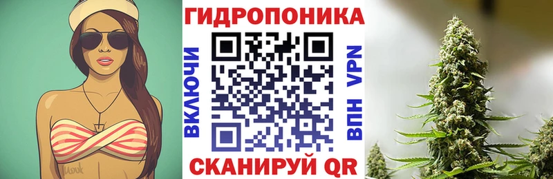 Канабис сатива  Покров 